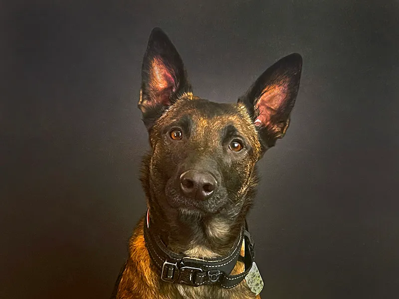 luna